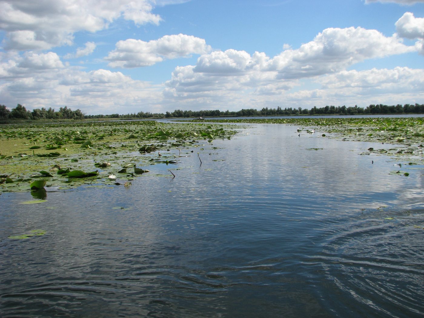 Нижньодніпровський національний природний парк
