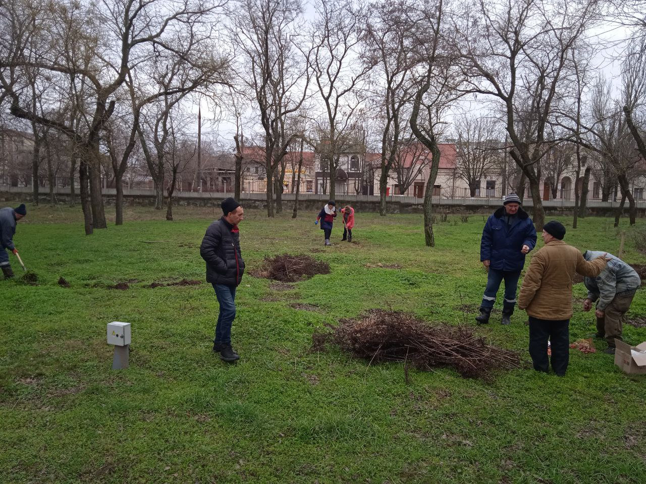 У парковому містечку ХДУ висадили близько 120 цибулин тюльпанів