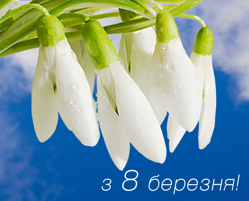 Новина №1434