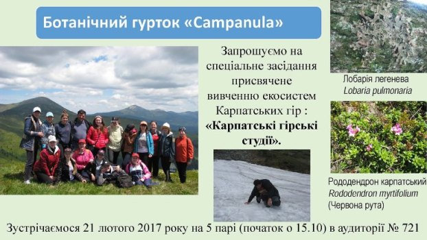 Новина №6791