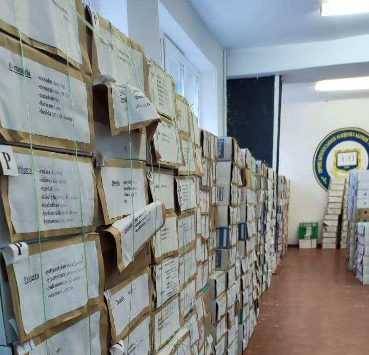 Історію евакуації унікального гербарію ХДУ розповіли на американському ресурсі Wired