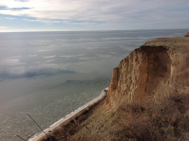 Дослідження біотопів лесових відслонень