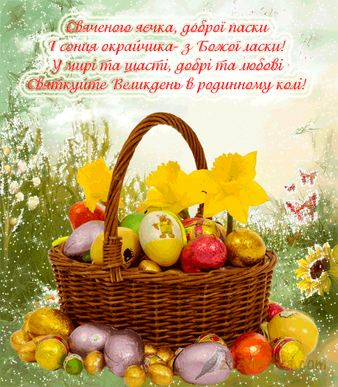Новина №5991