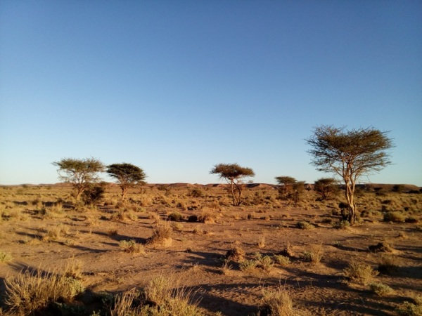 Подорож до Королівства Марокко