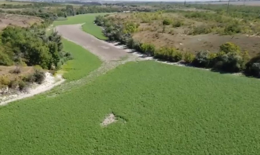 На місці Каховського водосховища відновлюється унікальна рослинність — науковець ХДУ поділився результатами досліджень