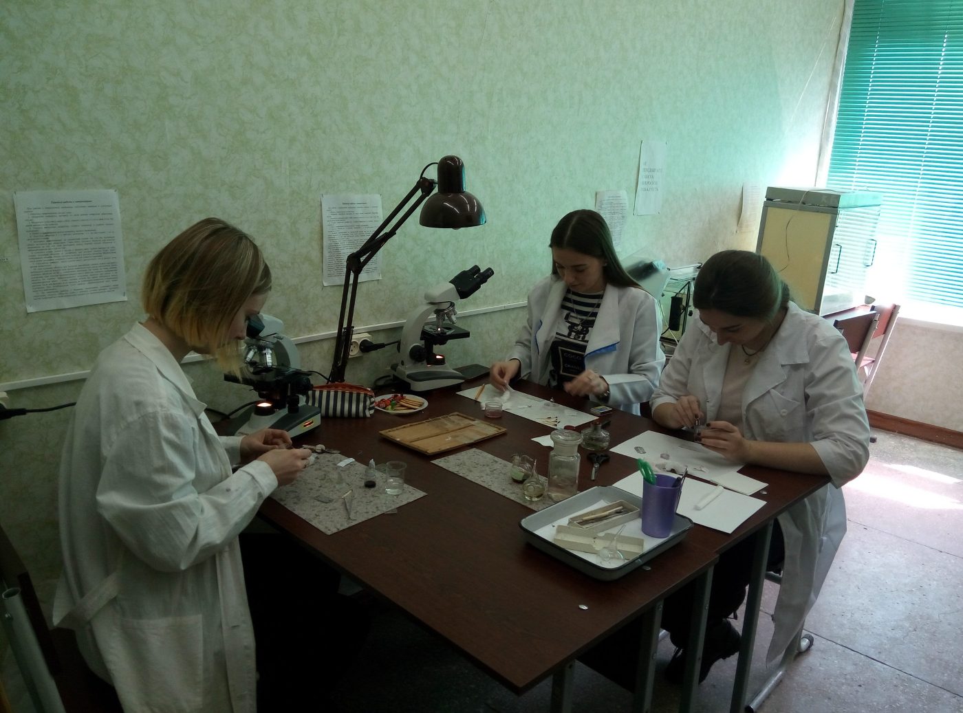STEM — освіта майбутніх біологів і екологів як форма інтеграції ХДУ в європейський освітянський простір