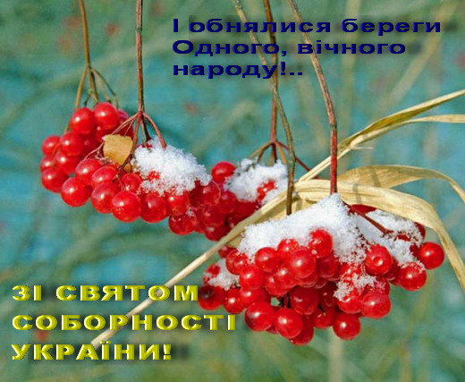 Привітання ректора Херсонського державного університету О.Ходосовцева з Днем Соборності Ук…