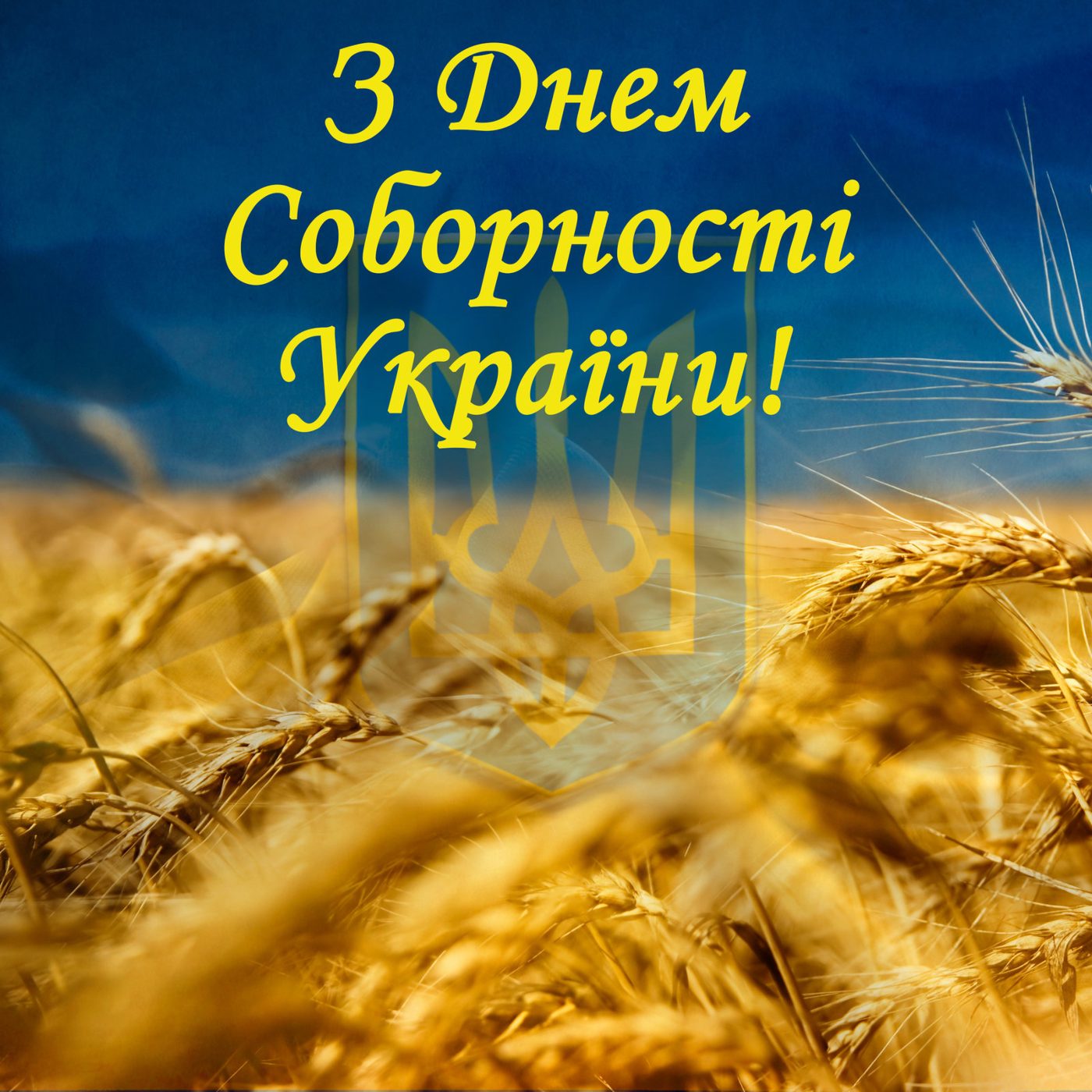 Шановні студенти, викладачі та співробітники Херсонського державного університету! 22 січн…