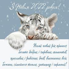 Новина №15262