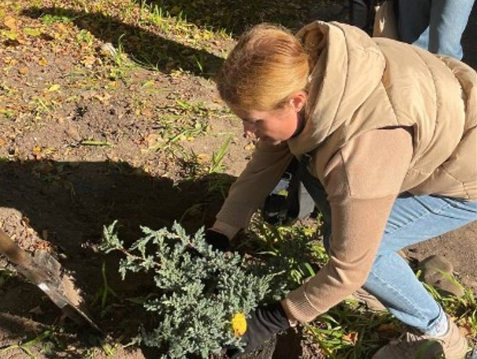 Студенти-медики ХДУ висадили в Івано-Франківську дерева