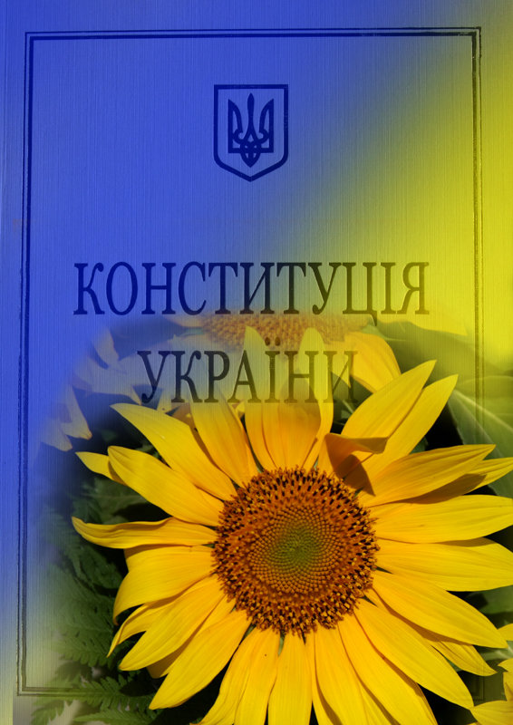 Привітання ректора Херсонського державного університету О.Ходосовцева з Днем Конституції України