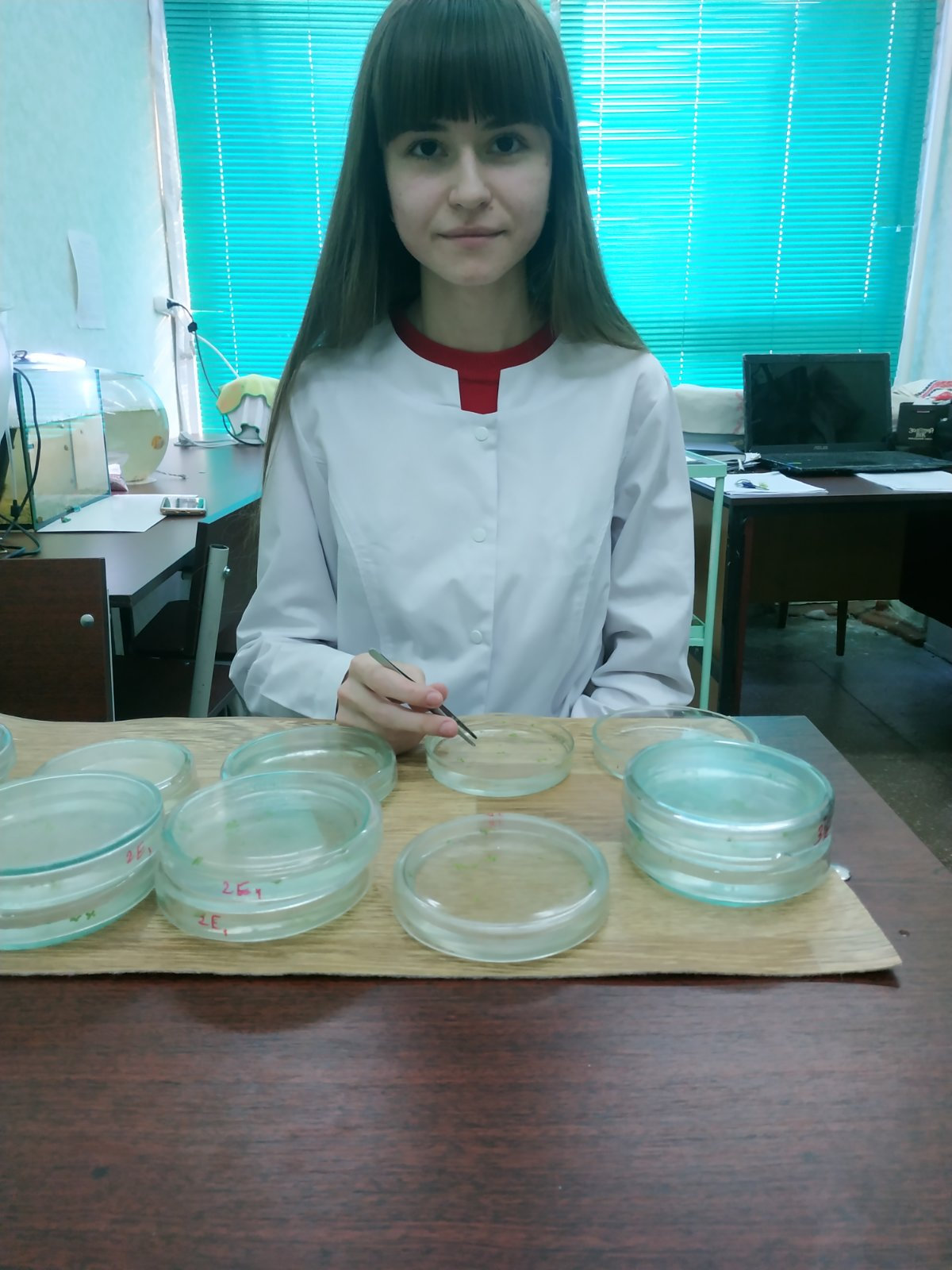 Експерименти групи "Цитоекологи"