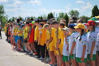 Всеукраїнський проєкт НОК "Олімпійське лелеченя"