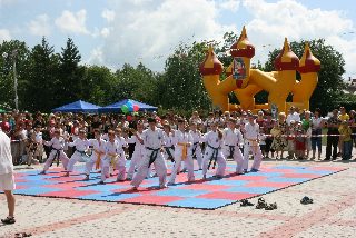 Sport FEST