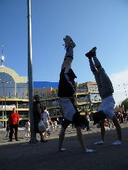 Sport FEST
