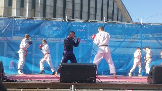 Sport FEST