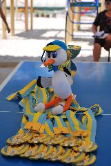 Всеукраїнський проєкт НОК "Олімпійське лелеченя"
