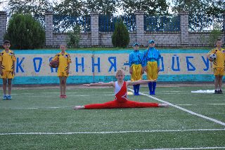 Всеукраїнський проєкт НОК "Олімпійське лелеченя"