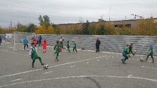 Sport FEST