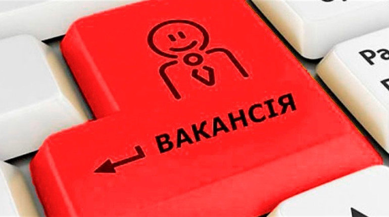 Корисні ресурси для працевлаштування: Державна служба зайнятості та телеграм-канали