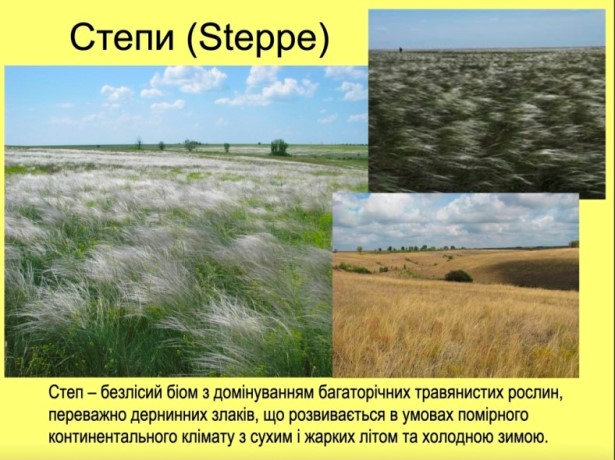 Популяризація науки - один з напрямків роботи ботаніків